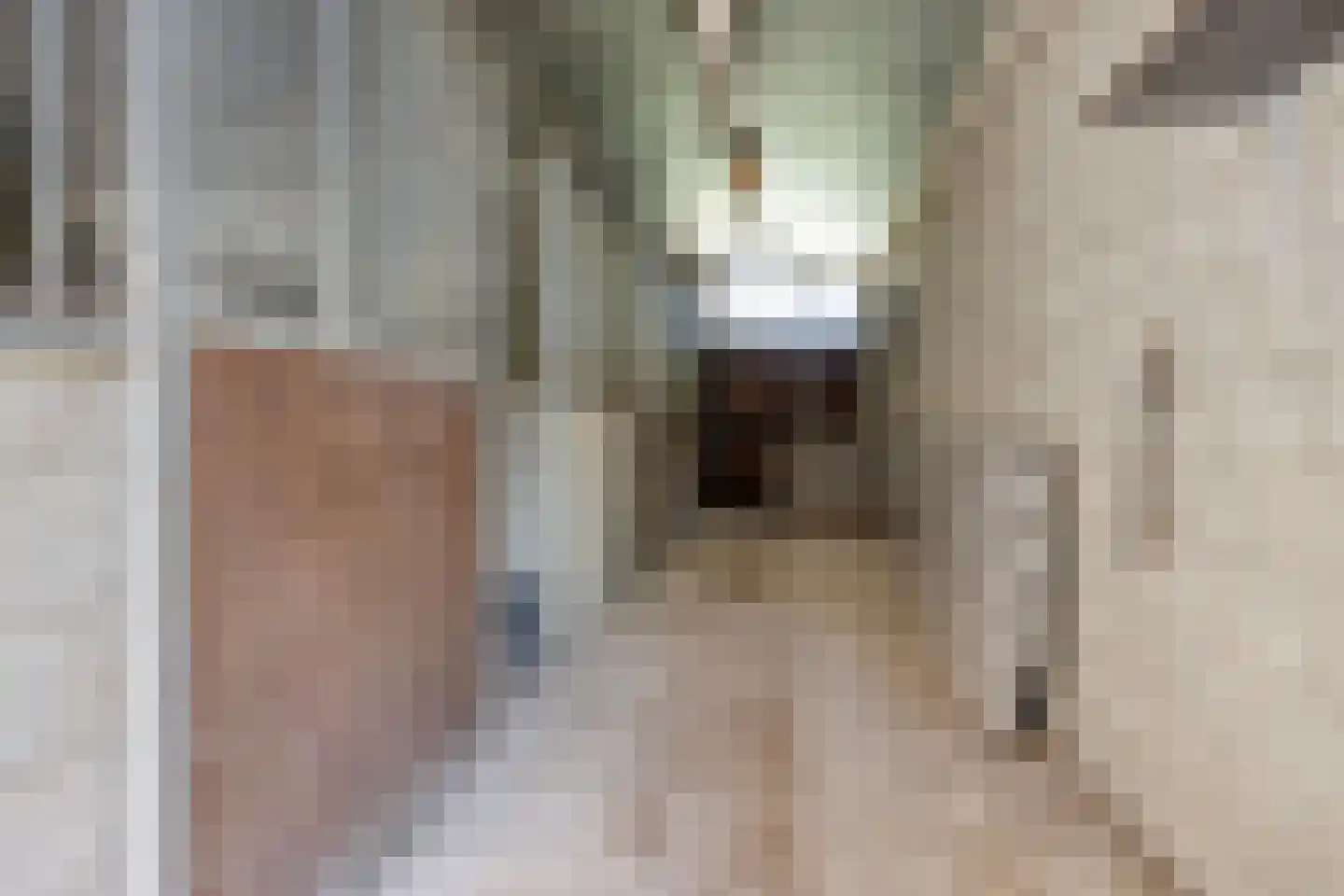 Stationsweg 98 Herkenbosch thumbnail 26
