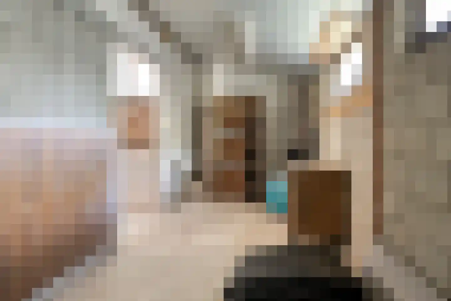 Stationsweg 98 Herkenbosch thumbnail 30