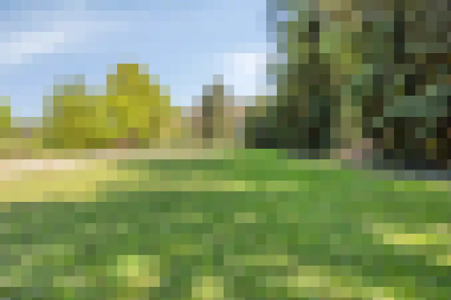 Stationsweg 98 Herkenbosch thumbnail 32