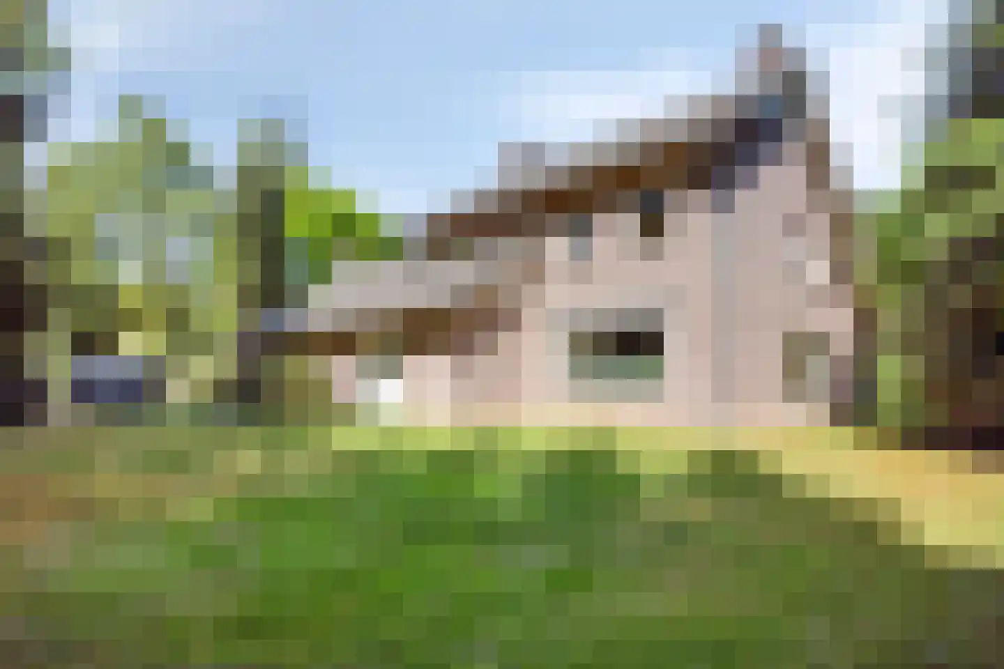 Stationsweg 98 Herkenbosch thumbnail 50