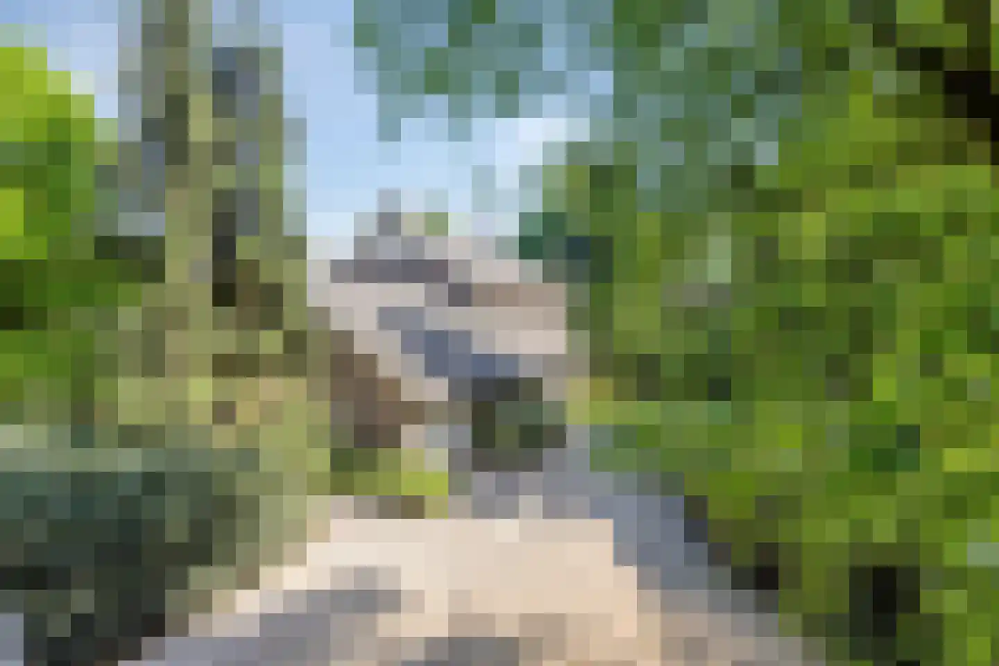 Stationsweg 98 Herkenbosch thumbnail 52