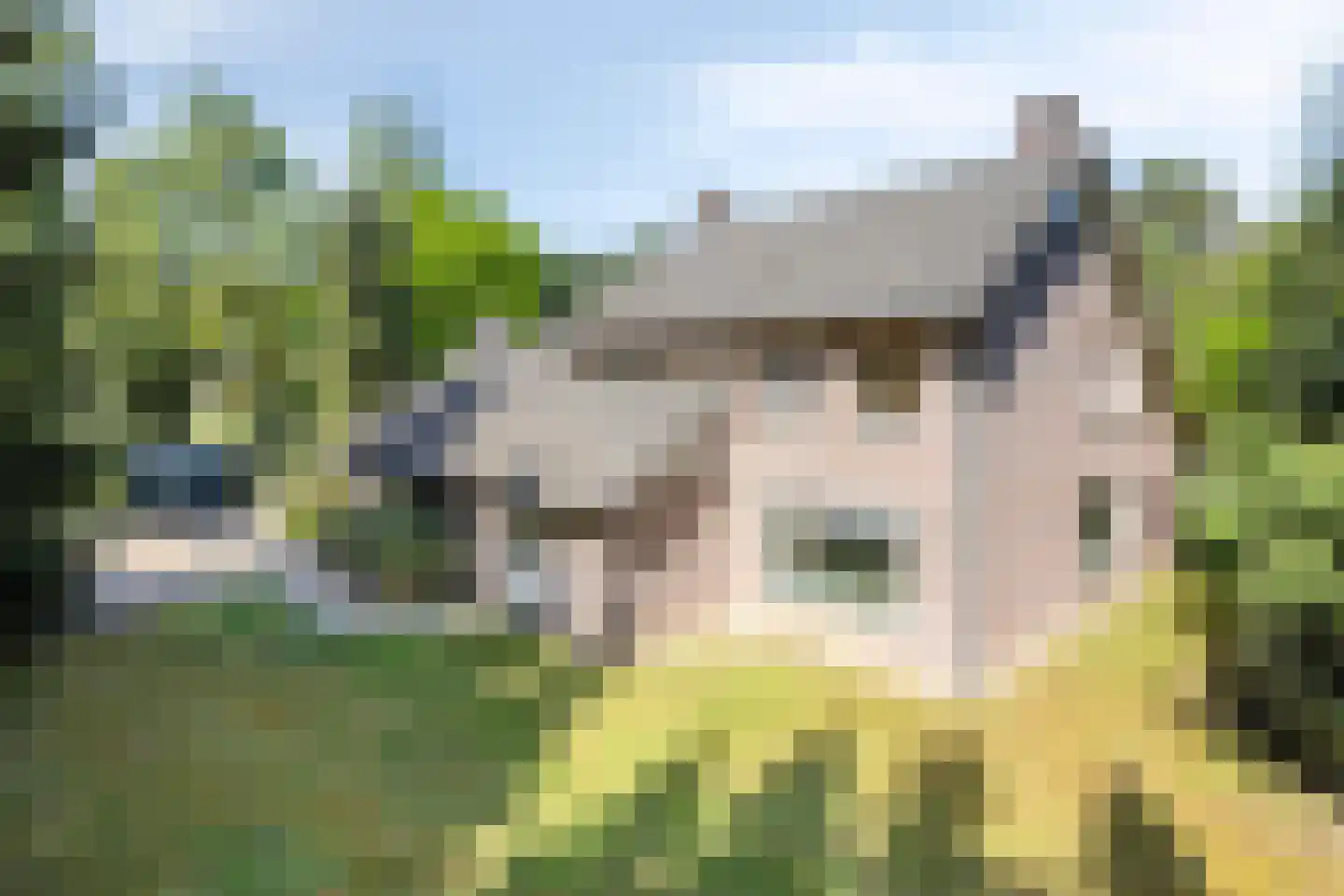 Stationsweg 98 Herkenbosch thumbnail 53