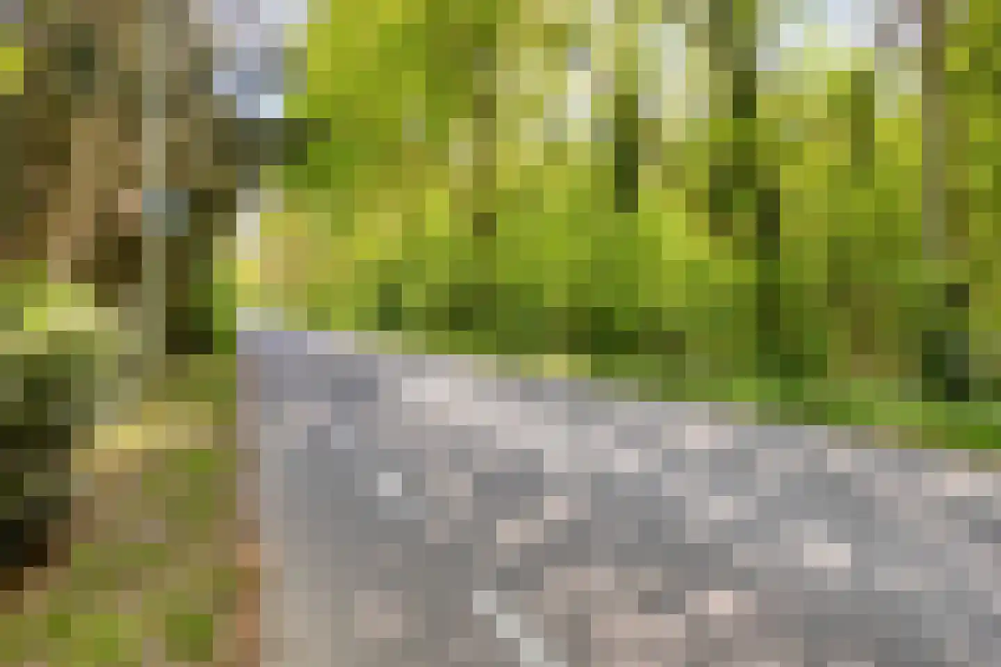 Stationsweg 98 Herkenbosch thumbnail 55
