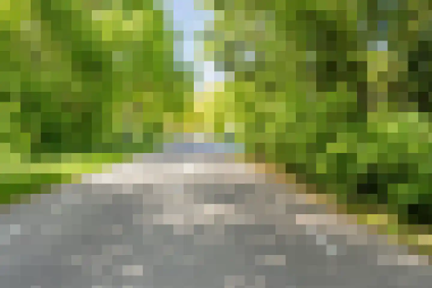 Stationsweg 98 Herkenbosch thumbnail 56