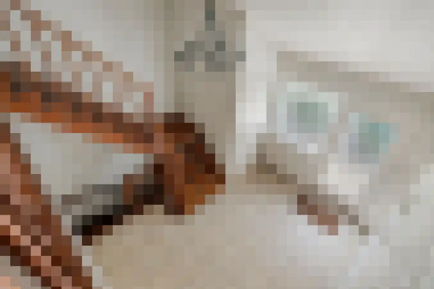 Stationsweg 98 Herkenbosch thumbnail 6