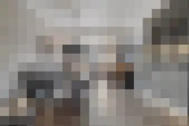Stationsweg Oost 170 Woudenberg thumbnail 15
