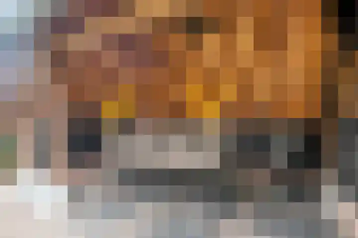 Stationsweg Oost 170 Woudenberg thumbnail 43