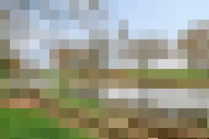 Stationsweg Oost 170 Woudenberg thumbnail 50