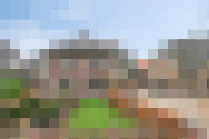 Stationsweg Oost 170 Woudenberg thumbnail 7