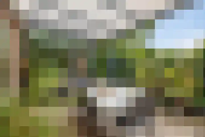 Stationsweg Oost 174 Woudenberg thumbnail 31