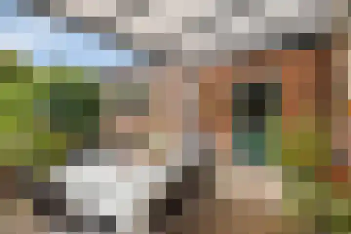 Stationsweg Oost 174 Woudenberg thumbnail 32