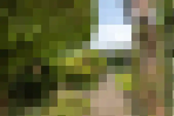 Stationsweg Oost 174 Woudenberg thumbnail 33