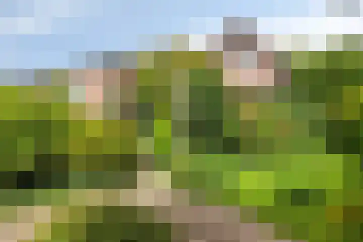 Stationsweg Oost 174 Woudenberg thumbnail 34