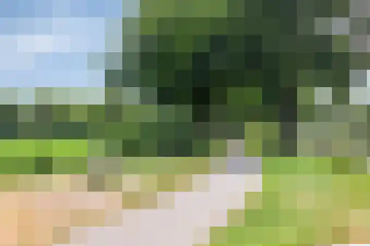 Stationsweg Oost 174 Woudenberg thumbnail 37