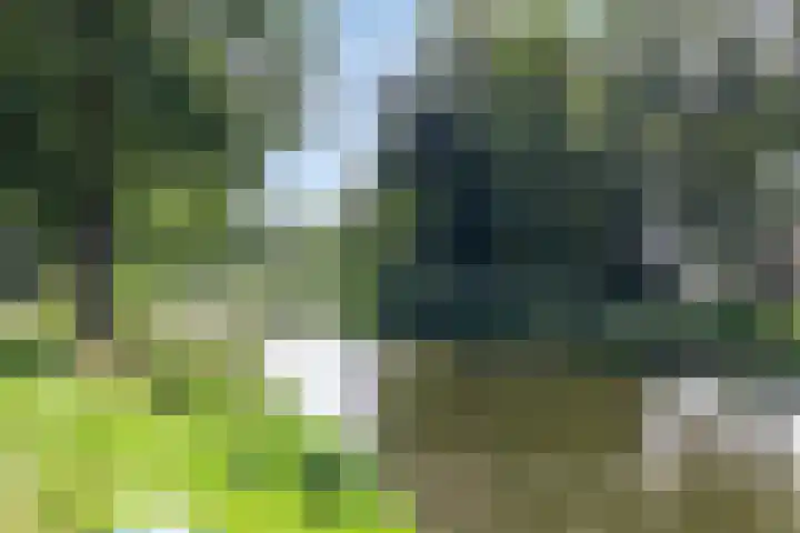 Stationsweg Oost 174 Woudenberg thumbnail 38