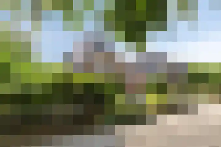Stationsweg Oost 174 Woudenberg thumbnail 45