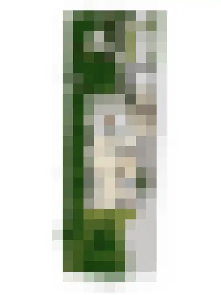 Stationsweg Oost 174 Woudenberg thumbnail 51