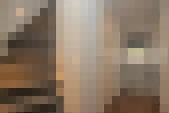 Stationsweg West 131 a Woudenberg thumbnail 22