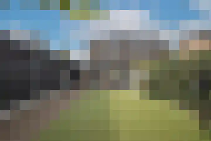 Stationsweg West 131 a Woudenberg thumbnail 4