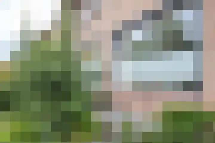 Stationsweg West 131 a Woudenberg thumbnail 5