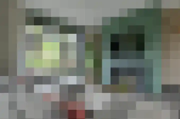 Stationsweg West 133 Woudenberg thumbnail 13