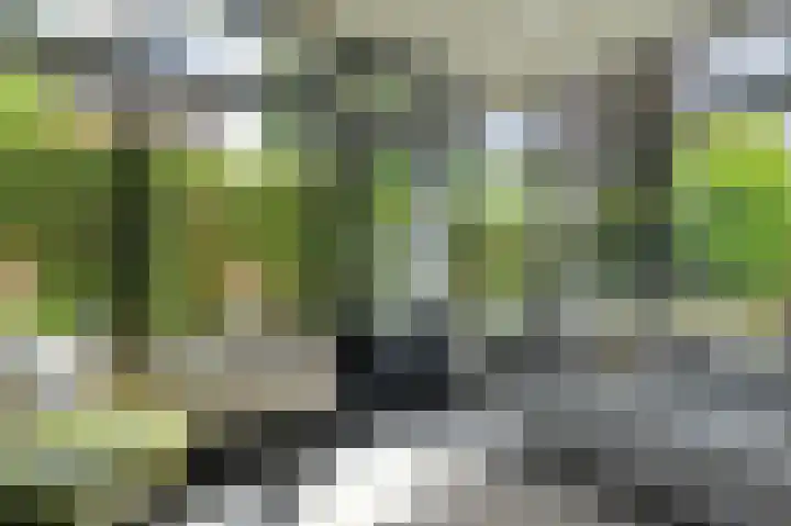 Stationsweg West 133 Woudenberg thumbnail 16