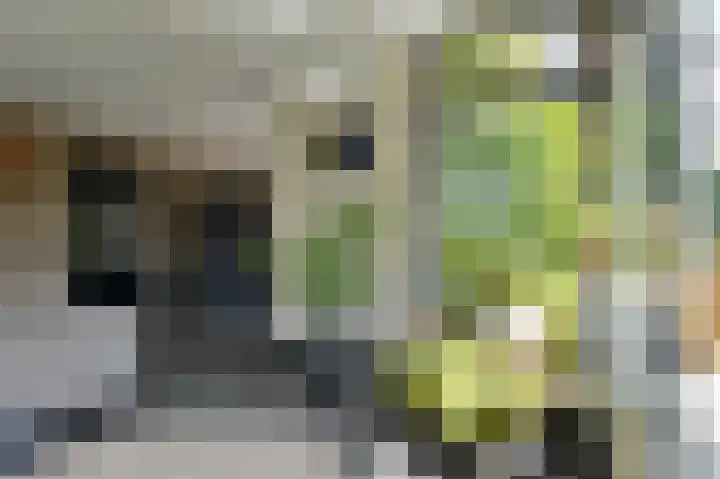 Stationsweg West 133 Woudenberg thumbnail 17