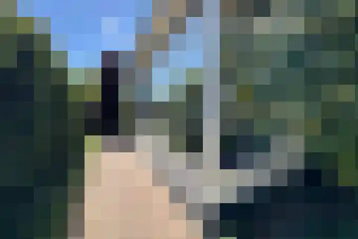 Stationsweg West 133 Woudenberg thumbnail 37