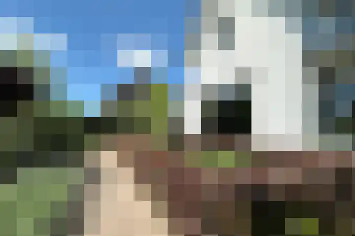 Stationsweg West 133 Woudenberg thumbnail 38