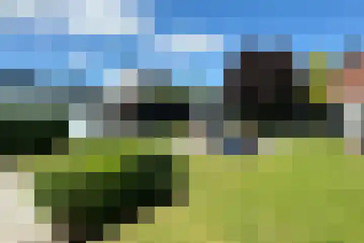 Stationsweg West 133 Woudenberg thumbnail 41