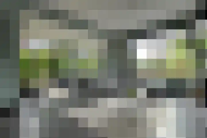 Stationsweg West 133 Woudenberg thumbnail 9
