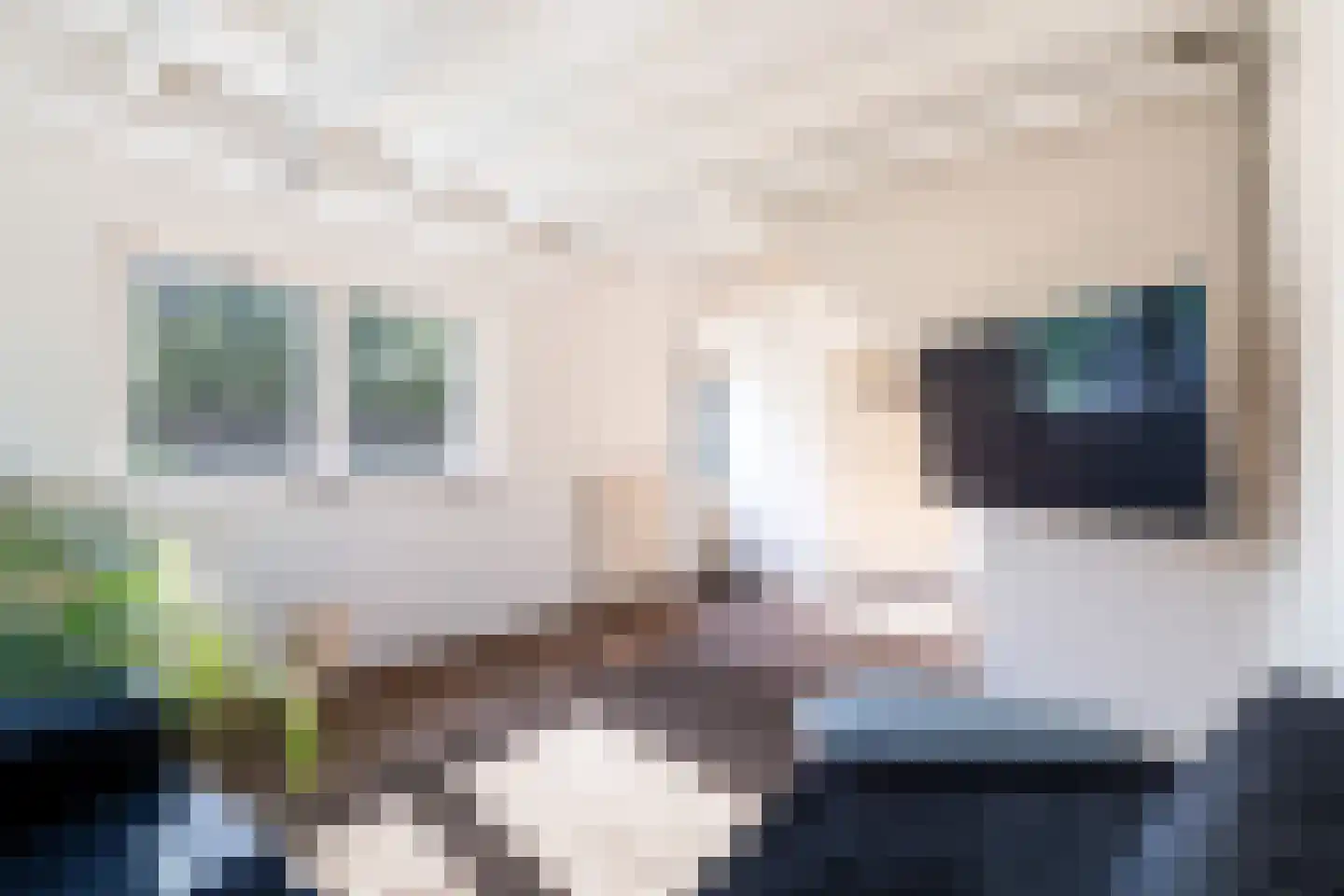 Stationsweg West 141 Woudenberg thumbnail 51