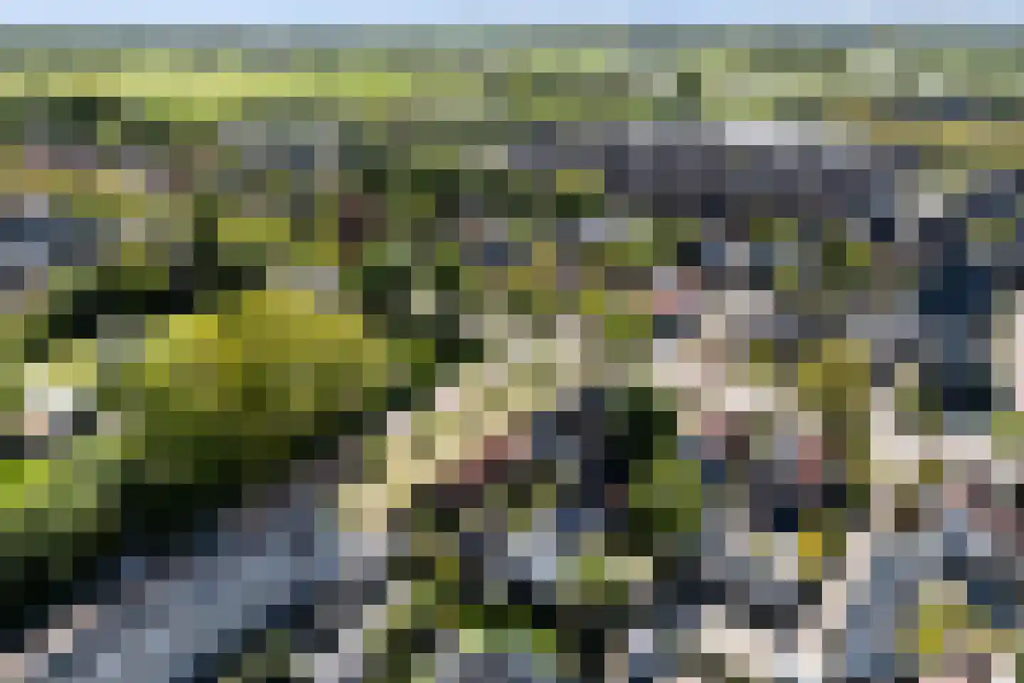 Stationsweg West 141 Woudenberg thumbnail 78