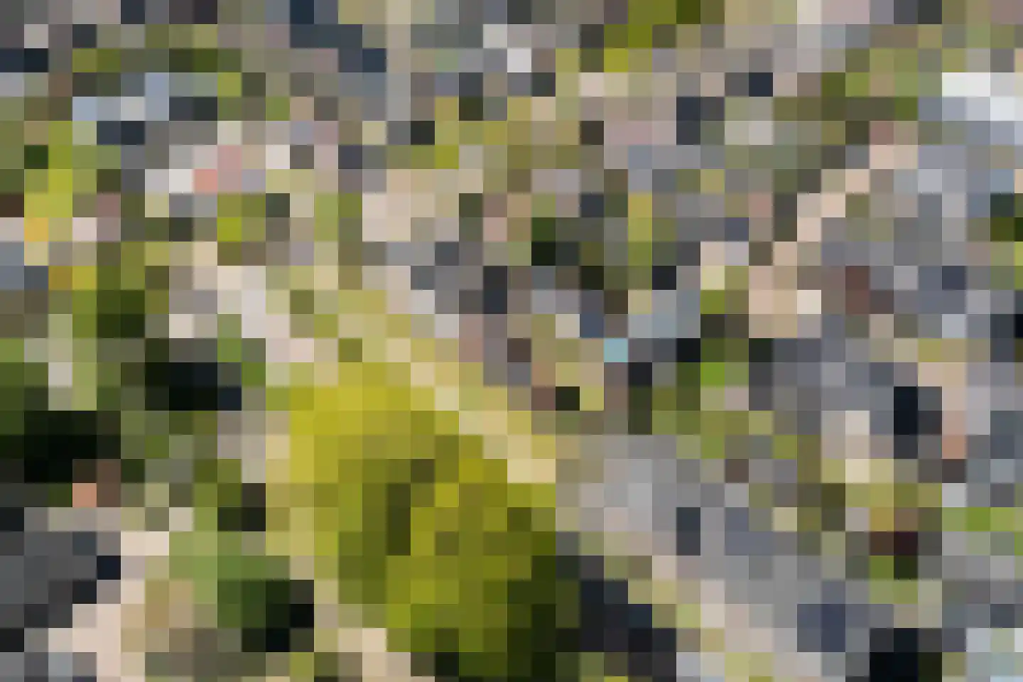 Stationsweg West 141 Woudenberg thumbnail 80