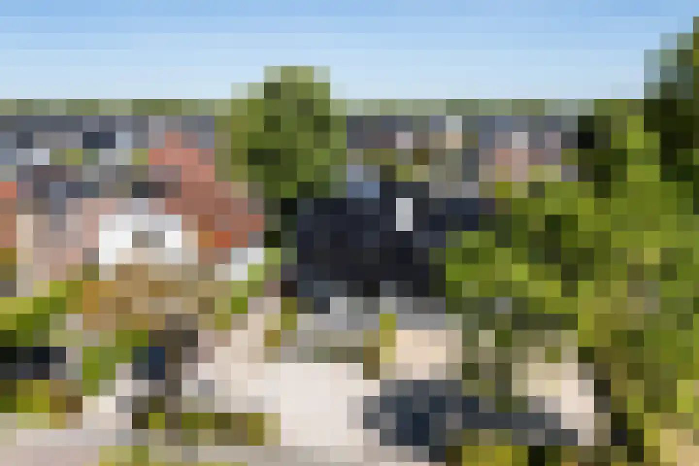 Stationsweg West 141 Woudenberg thumbnail 84