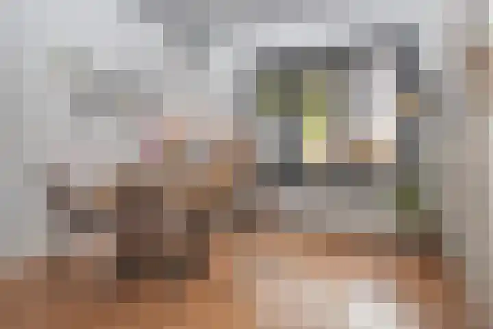 Stationsweg West 157 Woudenberg thumbnail 15