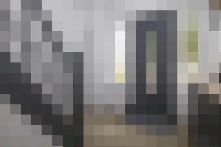 Stationsweg West 157 Woudenberg thumbnail 8