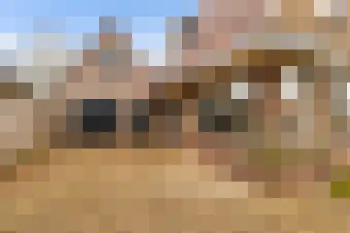 Stationsweg West 161 a Woudenberg thumbnail 12