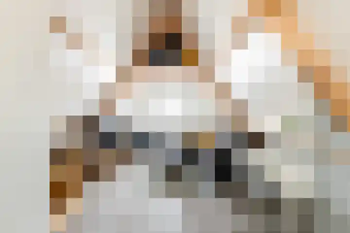 Stationsweg West 161 a Woudenberg thumbnail 64