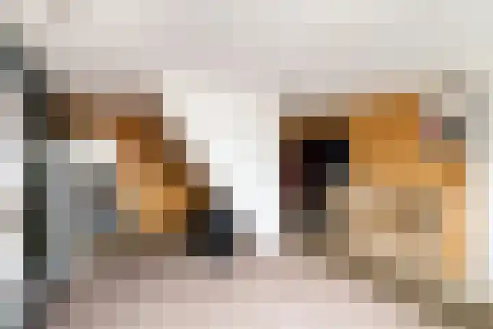 Stationsweg West 161 a Woudenberg thumbnail 69
