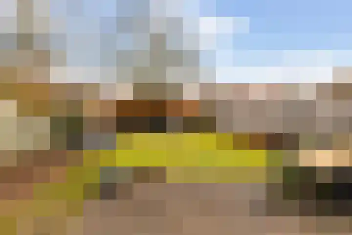 Stationsweg West 161 a Woudenberg thumbnail 76