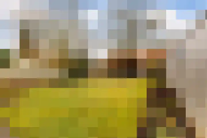 Stationsweg West 161 a Woudenberg thumbnail 78