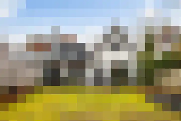 Stationsweg West 161 a Woudenberg thumbnail 79