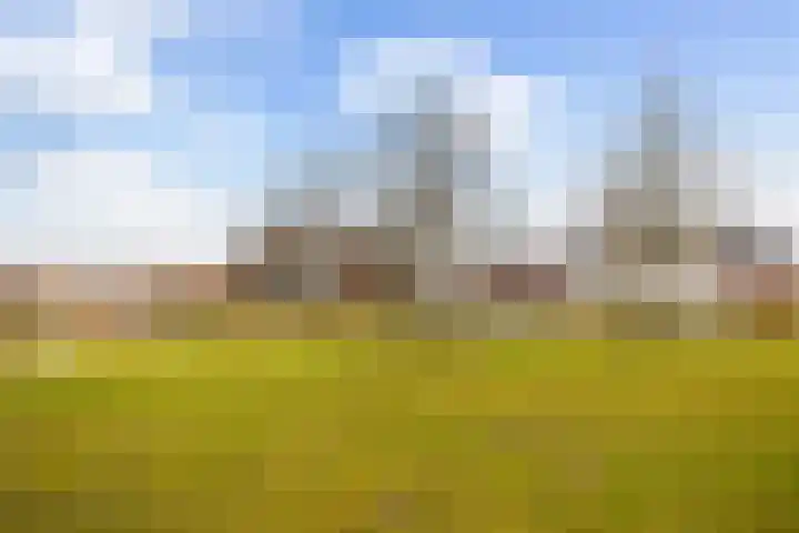 Stationsweg West 161 a Woudenberg thumbnail 84