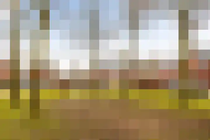 Stationsweg West 161 a Woudenberg thumbnail 85