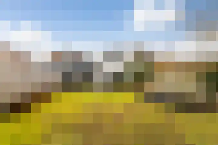Stationsweg West 161 a Woudenberg thumbnail 9
