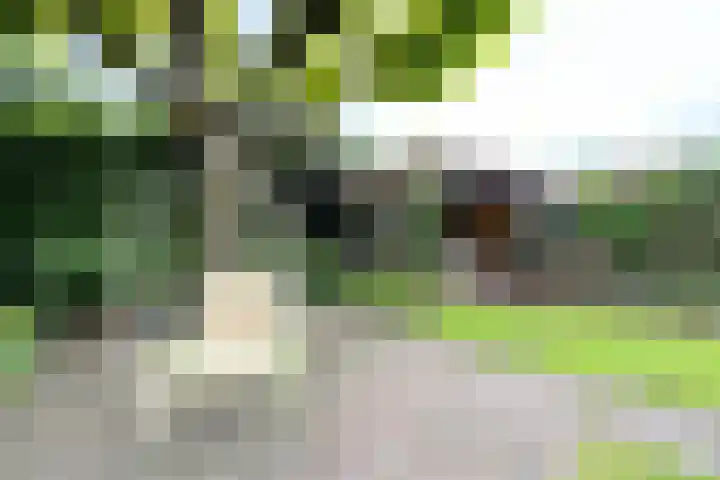 Stationsweg West 181 Woudenberg thumbnail 30