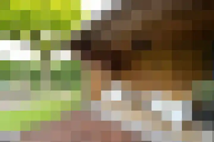 Stationsweg West 181 Woudenberg thumbnail 31