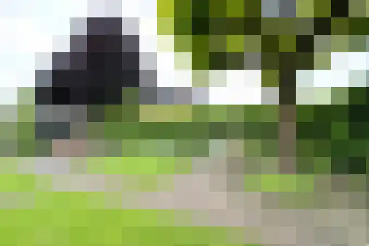 Stationsweg West 181 Woudenberg thumbnail 32