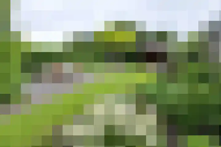Stationsweg West 181 Woudenberg thumbnail 4